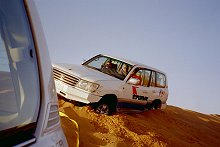 Wüstensafari