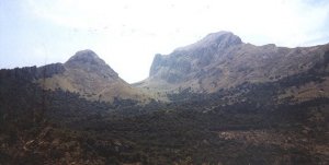 1445 m hohe Berge