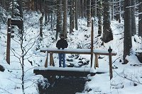Ine (Eisvogelweg)