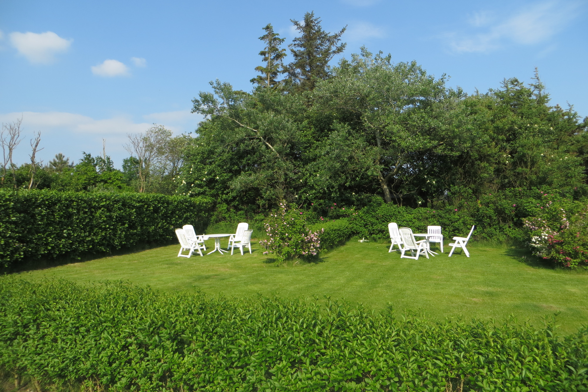 Grüner Garten mit Sitzecken