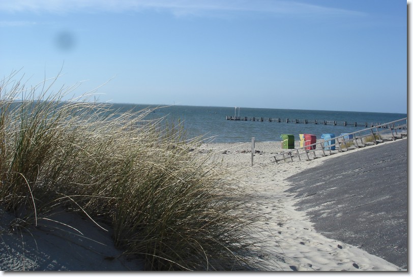 Nächstes Bild
